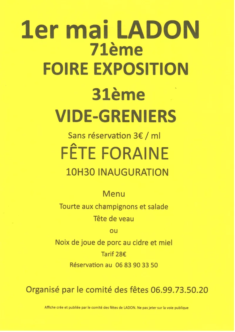 Foire Expo, Vide-Greniers & fête foraine