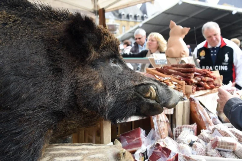 Festival des Confréries en Ardenne