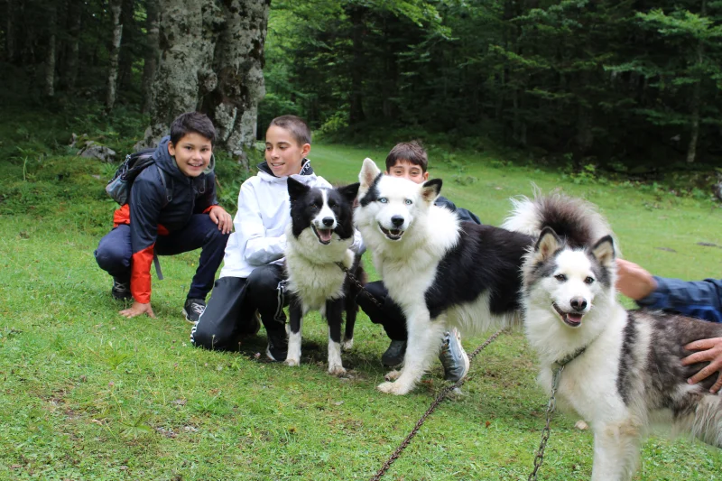 Randonner avec un chien nordique à Oloron Sainte-Marie