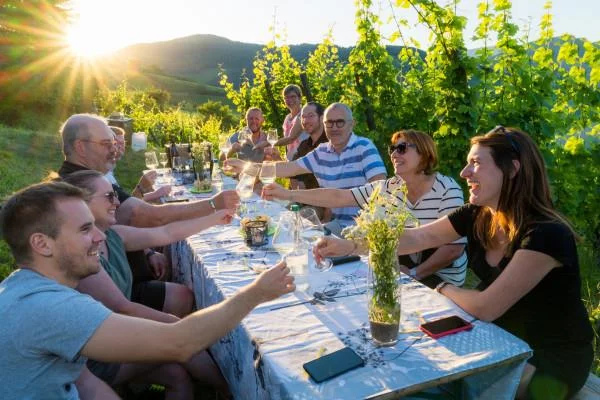 Balade gourmande au coeur du vignoble