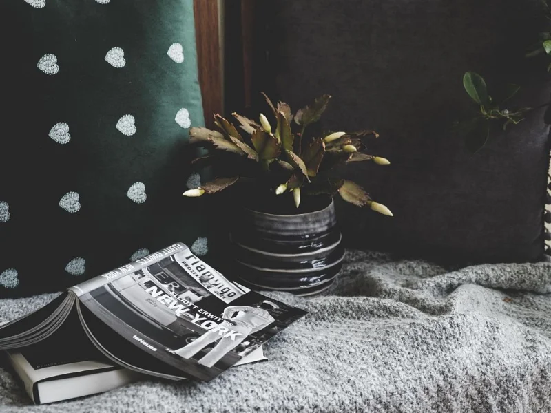 Club lecture vert