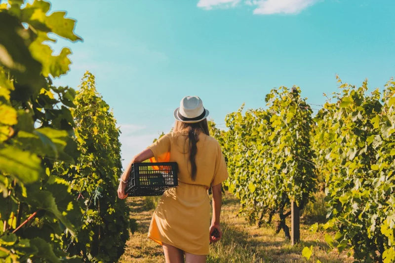 "Les vignerons prennent l'Aire" - Château Canon La Fôret