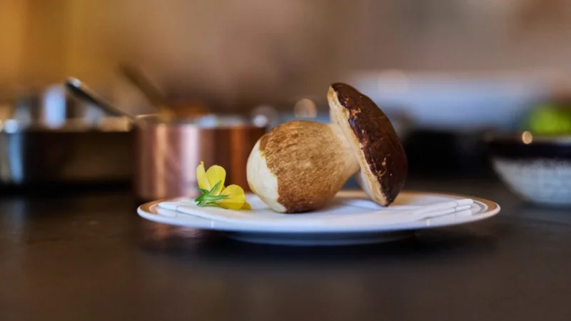 Diners Ephémères d'Automne au Château Haut-Bailly