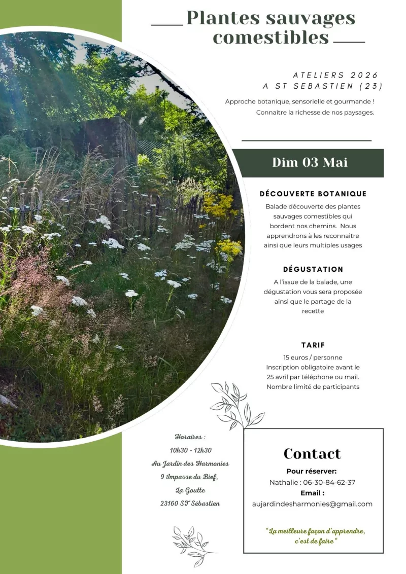 Atelier Plantes sauvages comestibles