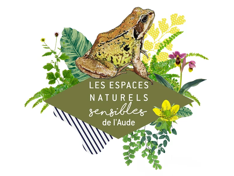 ENS - DES INSECTES, DE L'EAU AUX PINS