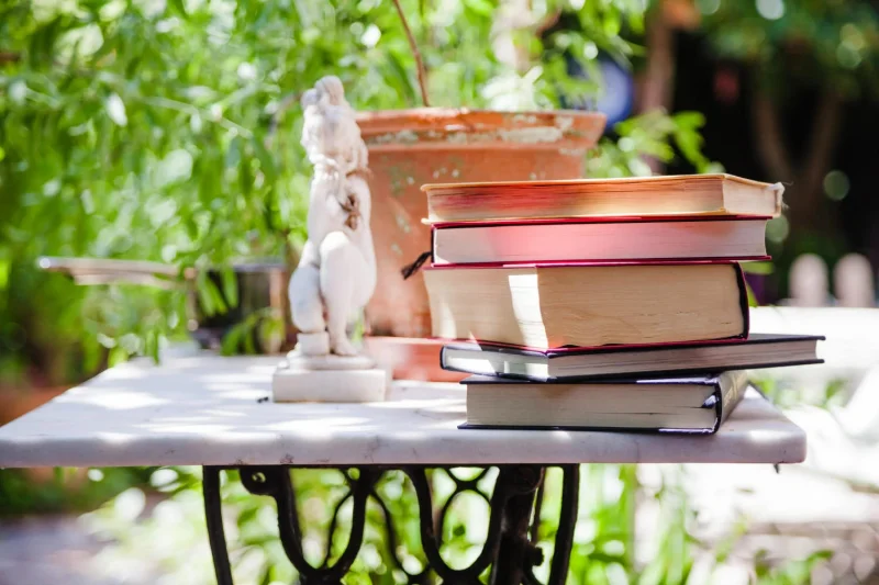 La bibliothèque en vadrouille