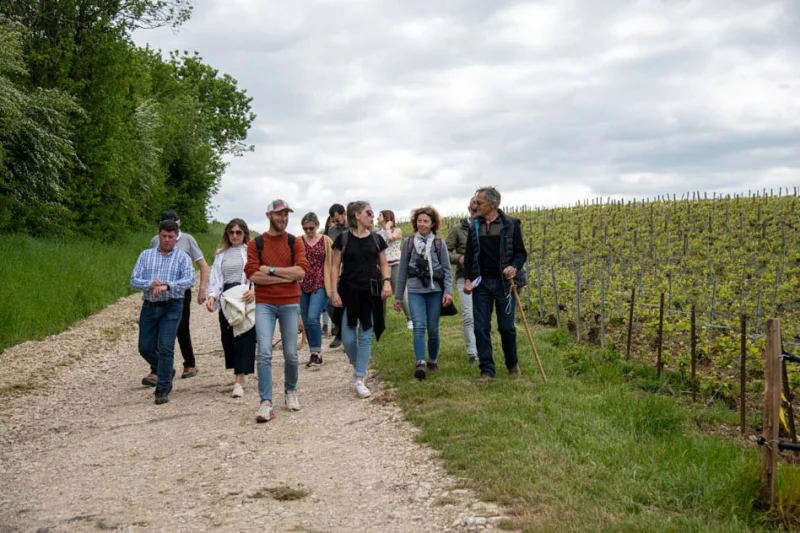 Balade Vigneronne avec le Champagne Binon-Coquard