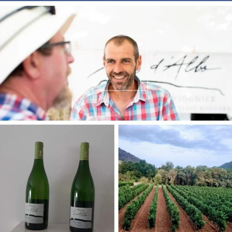 BALADE DES SAVEURS– IMMERSION AU CŒUR DU VIGNOBLE