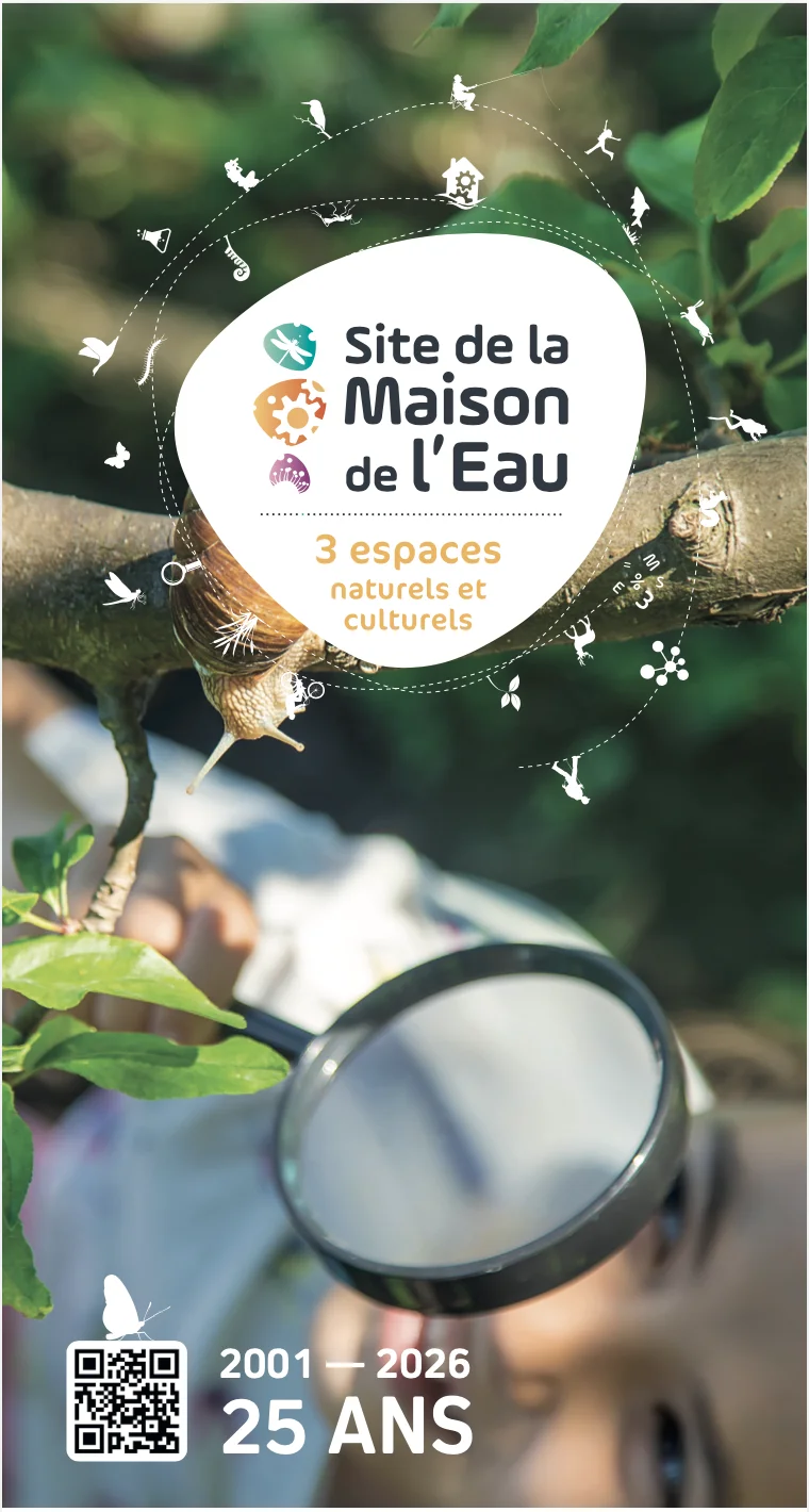 Exposition de peintures Isabelle Moreau