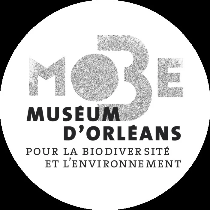 Le chocolat en débat