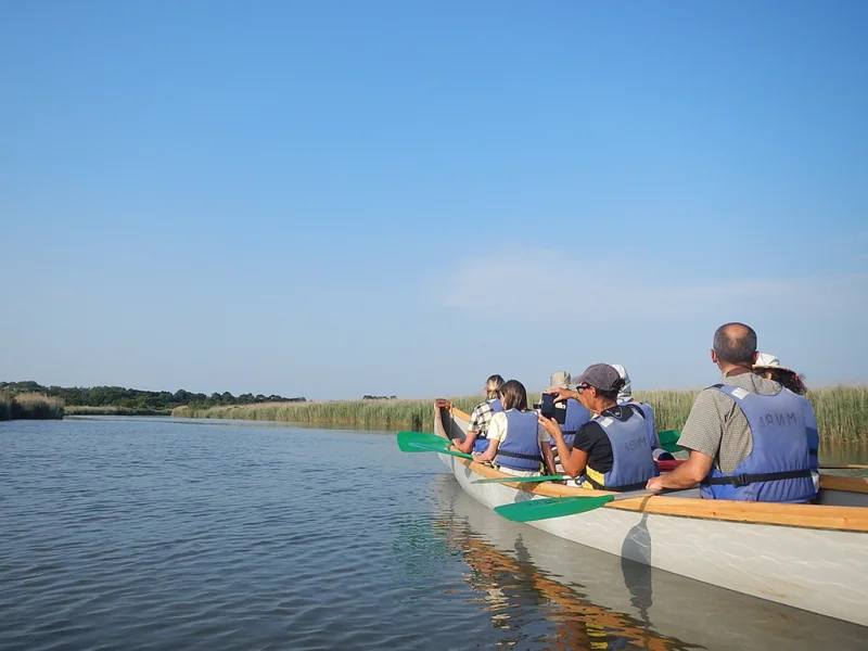 Balade sur le Delta de la Leyre en canoë collectif entre Biganos et Audenge
