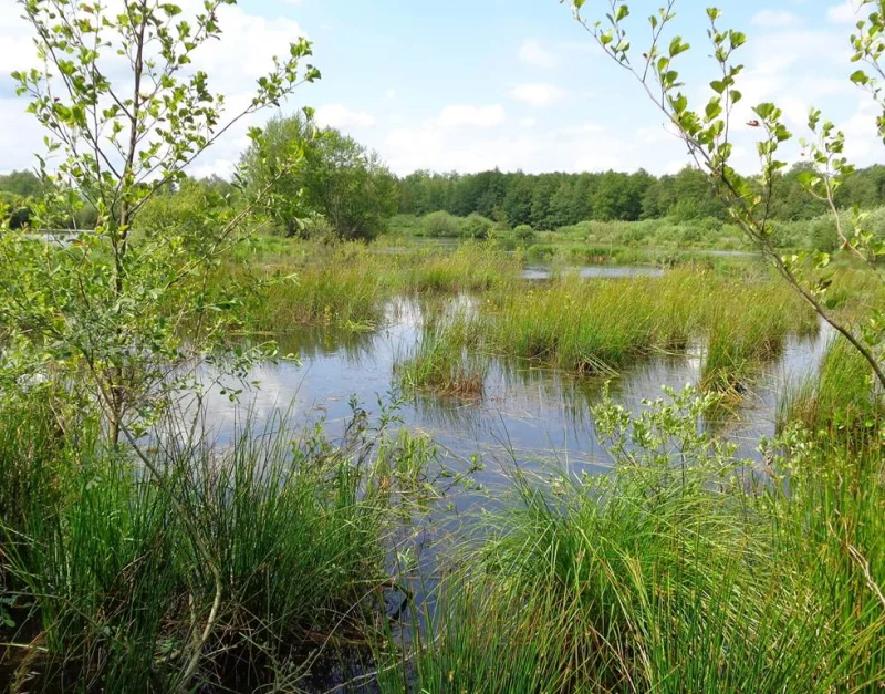 L'hiver aux Tourbières