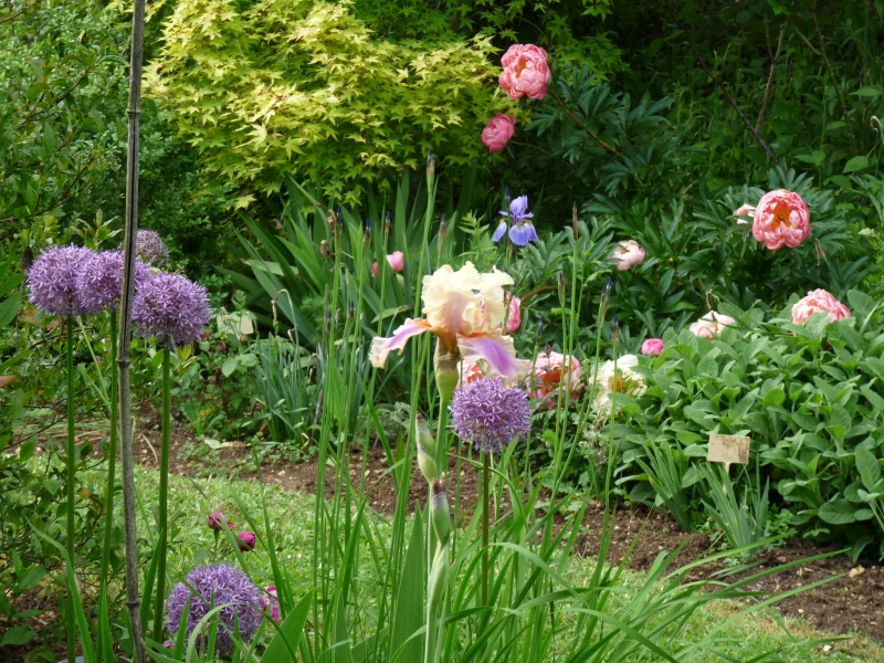 Tous au jardin