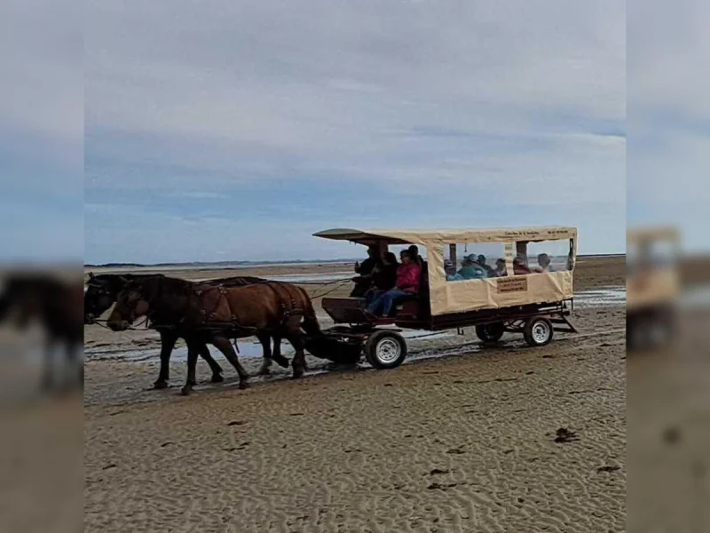 Découverte de la Pêcherie "La Maillard" en calèche