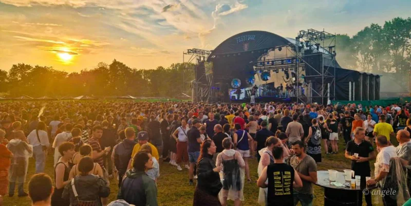Festi'Buz