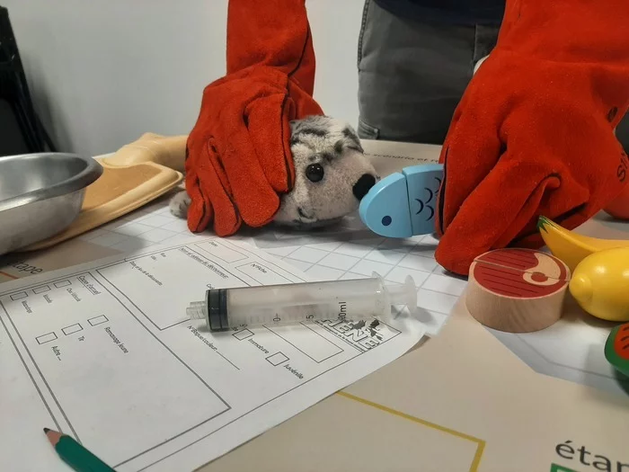 COMPLET | Soins aux animaux