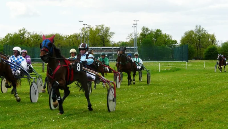 Courses hippiques
