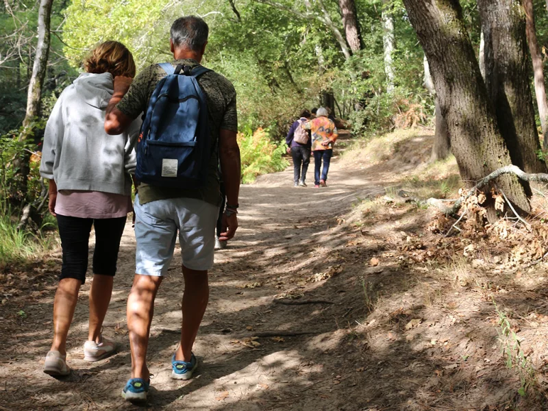Balade sensorielle et immersive en forêt