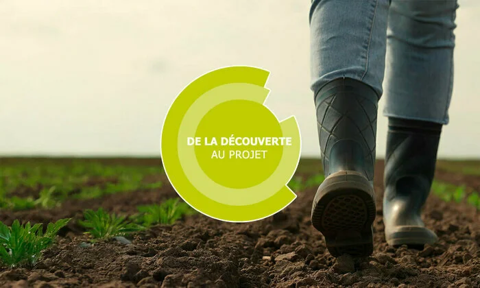 De la découverte au projet - Paysage/Végétal - CFPPA Nantes-Terre-Atlantique, Saint-Herblain (44)