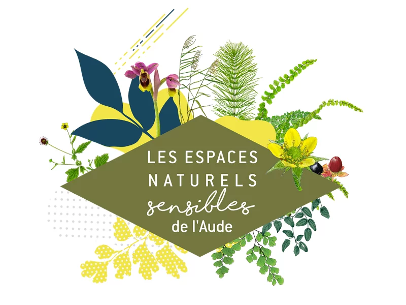 ENS - UN JOYAU BOTANIQUE DANS LES DUNES