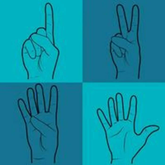 Découverte langue des signes