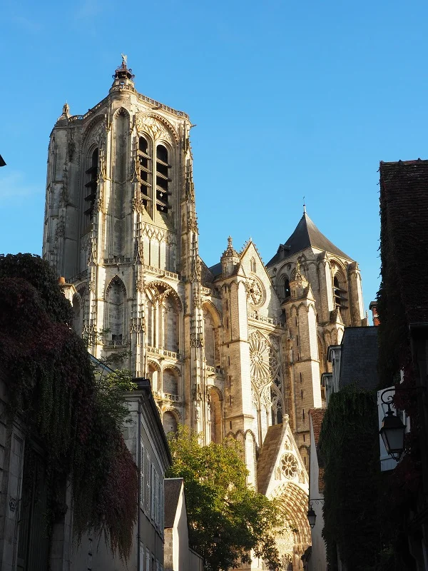 Visite guidée : La Cathédrale de A à Z