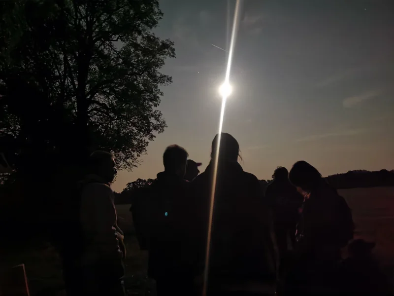 Balade au crépuscule