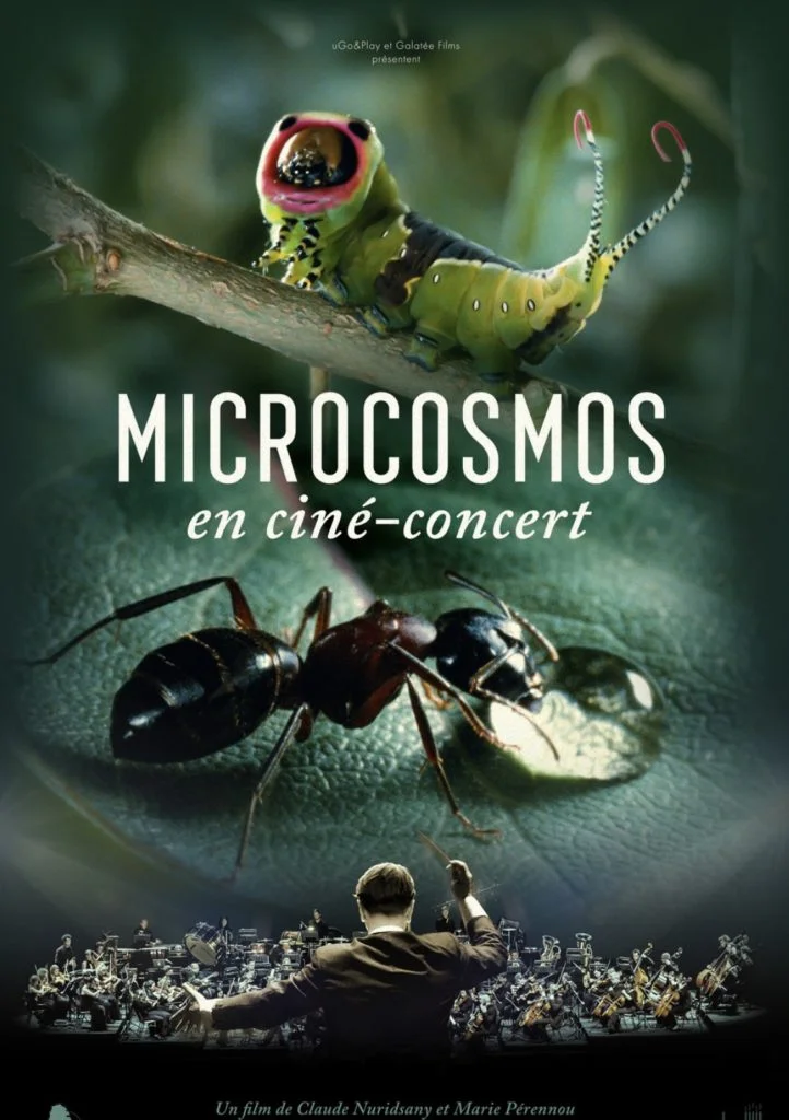 Ciné concert Microcosmos, le peuple de l'herbe
