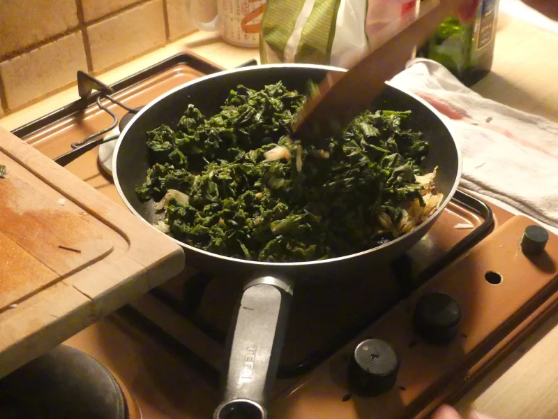 Cuisine sauvage, cueillette et dégustation