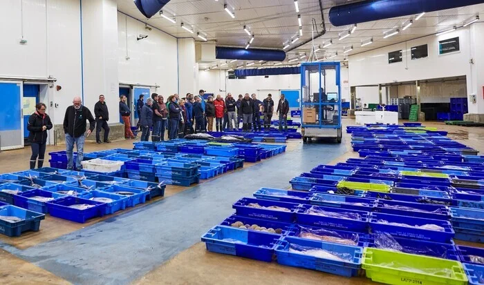 Visite guidée : la criée