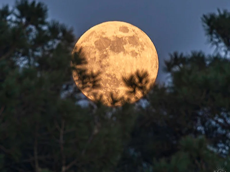 Observation du ciel nocturne