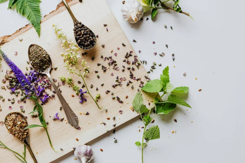 Cuisine sauvage d'automne