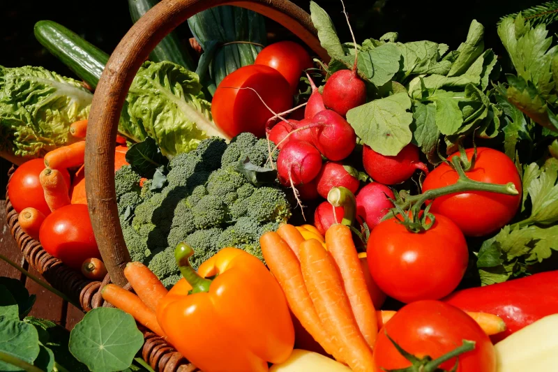 Marché Gourmand à Trébaïx