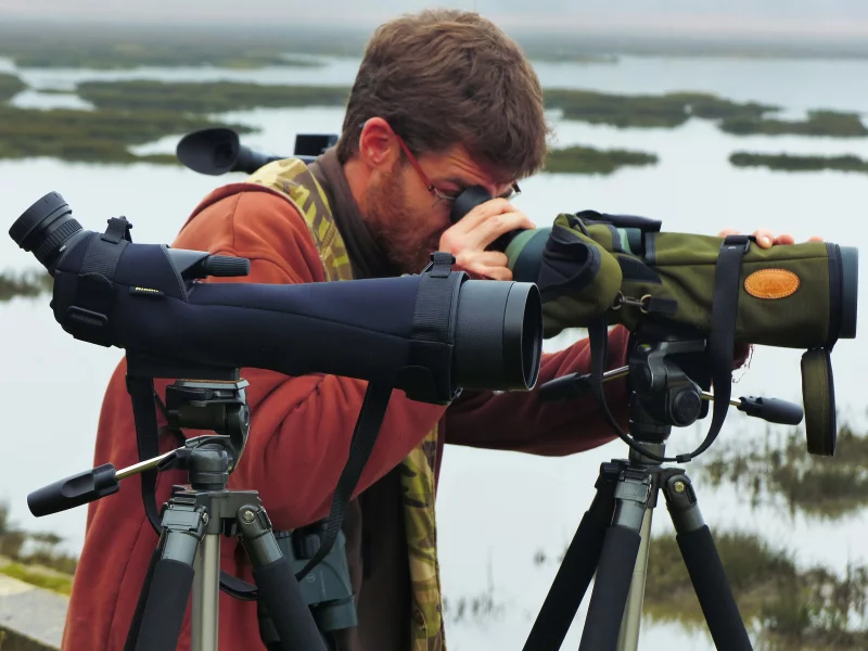 L'odyssée des oiseaux migrateurs
