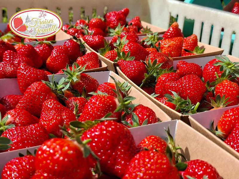 Fête de la fraise