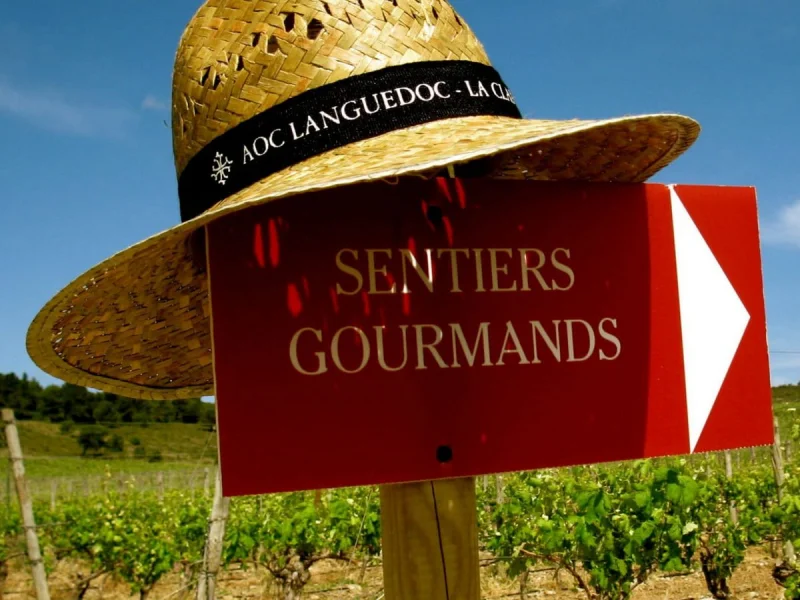 21ÈME SENTIERS GOURMANDS EN CLAPE VIGNERONNE