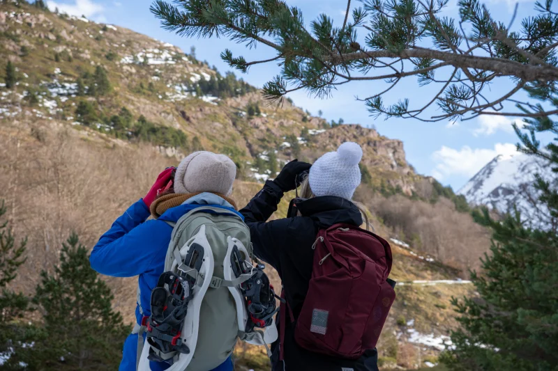 Randonnée sur les traces de la faune sauvage