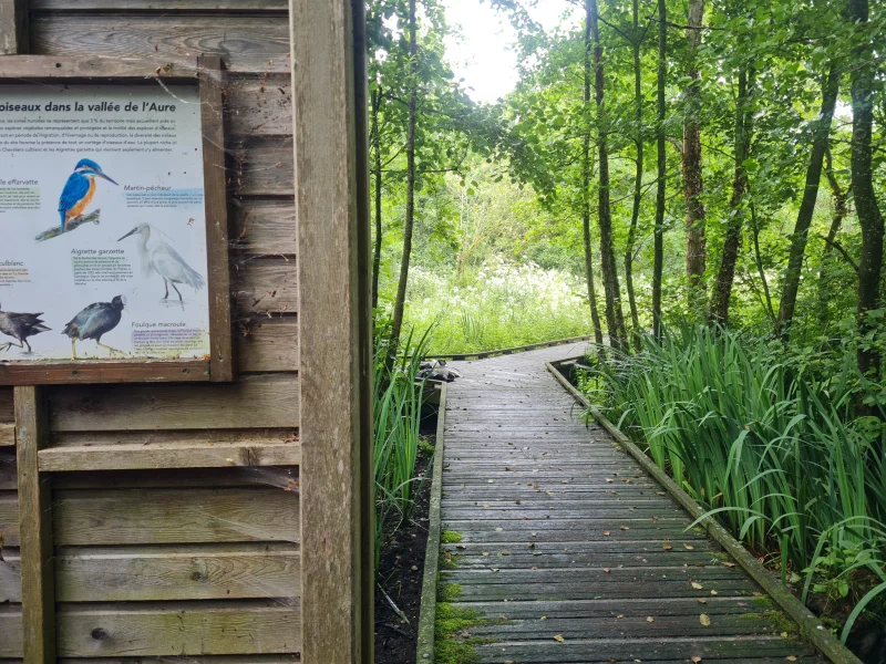 Balade sensorielle du marais de la vallée de l’Aure