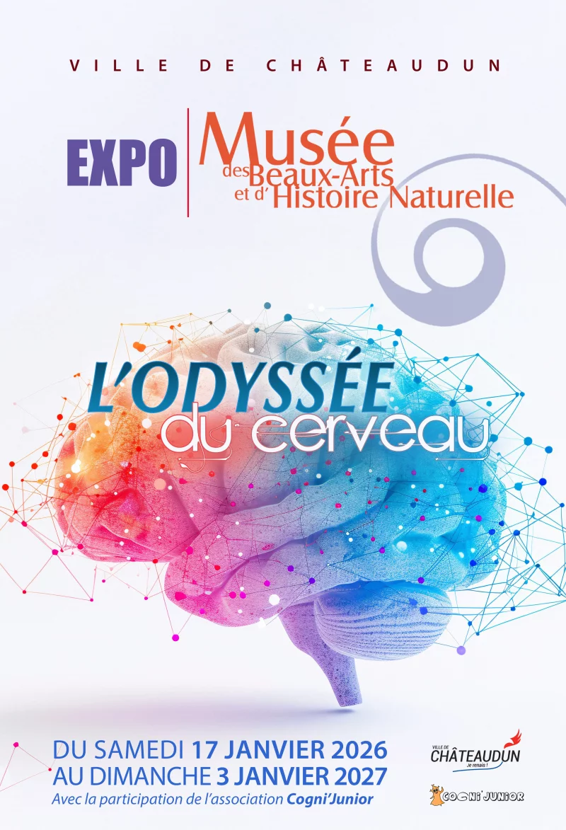 Nuit des Musées au Musée des Beaux-Arts et d'Histoire Naturelle