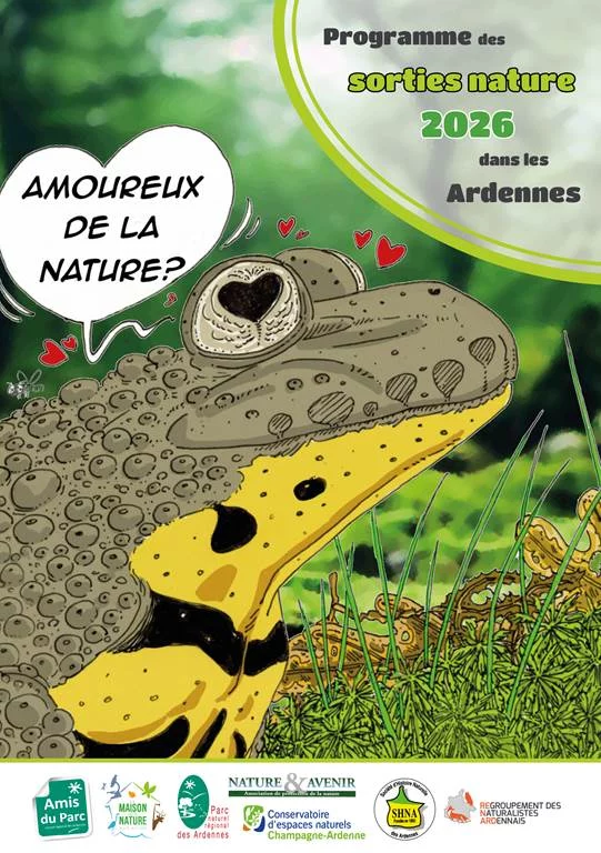 Offrir le gîte aux hérissons