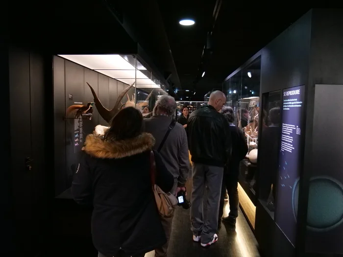 VISITE GUIDÉE du MOBE