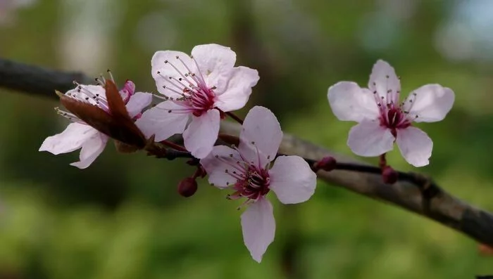 Réunion de printemps 2026