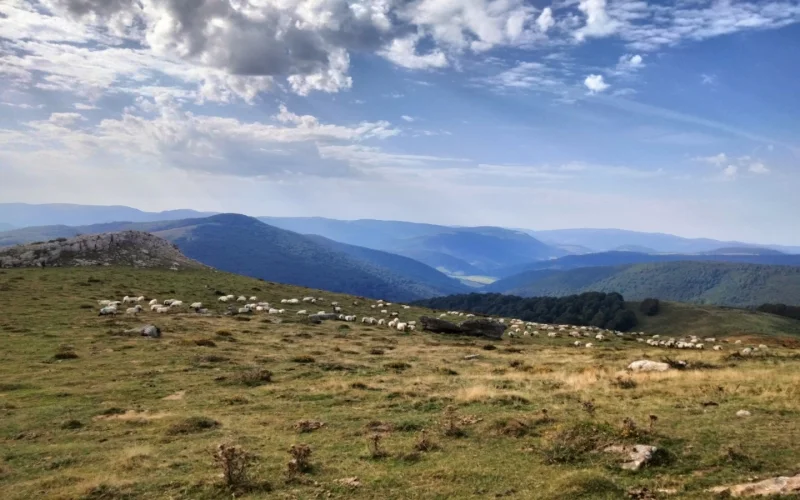 Randonnée acccompagnée Mendi Gaiak : rencontre avec Pauline, bergère à Irati