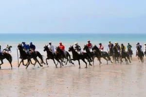 Courses hippiques sur l'hippodrome marin