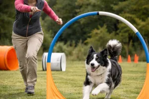 Concours de Hoopers