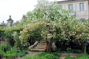 Mongenan fête les Rendez-vous aux jardins