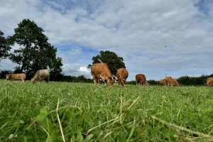 Visite de la ferme La Vallée des Vaches