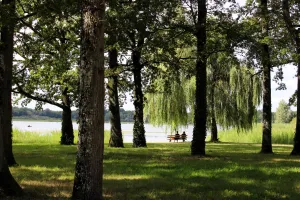Escapades nature : mardi soir au bord de l'eau