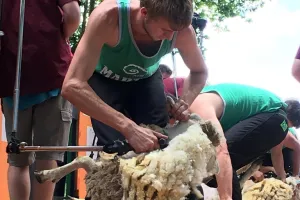 Fête des tondailles de Martel