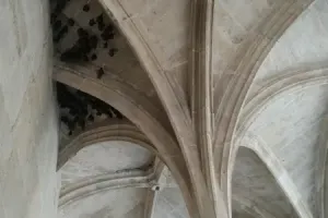 Visite à la découverte des chauves-souris de la chartreuse Saint-Sauveur